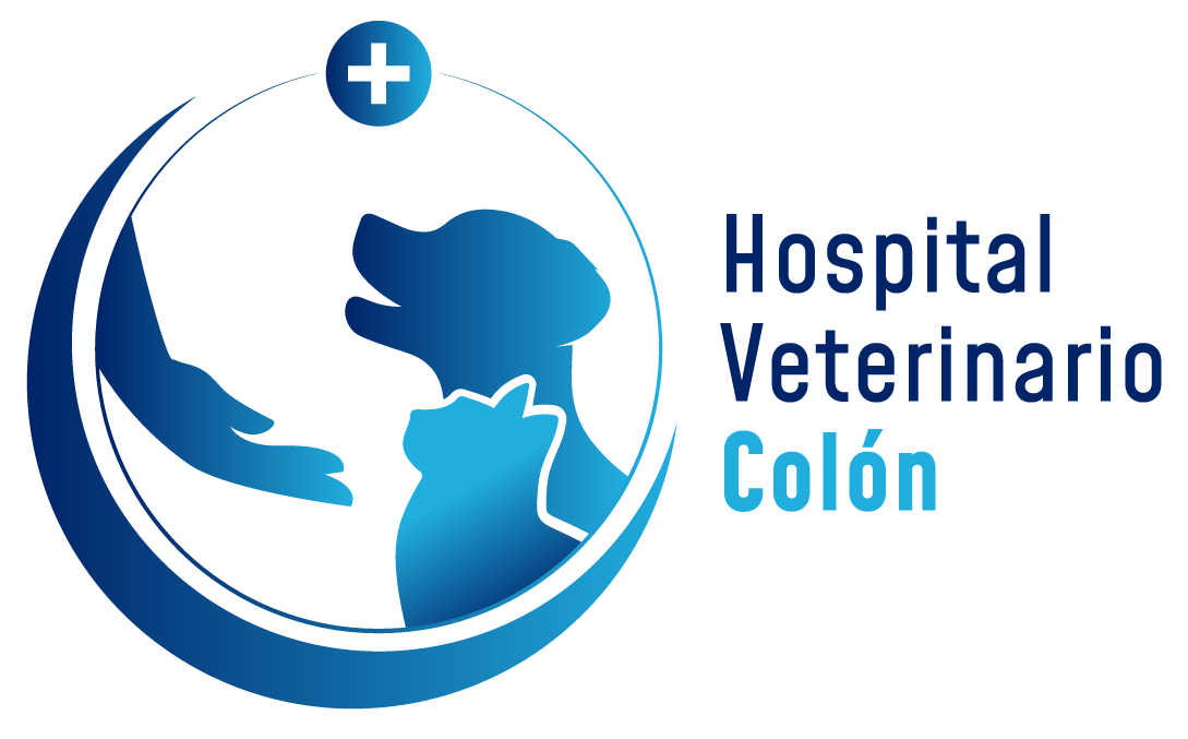 Hospital Veterinario Colón