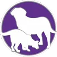 Centro Veterinario Dr. Linares 24 hs